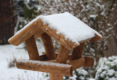 ЗИМА НИЈЕ НИ ПОЧЕЛА, А У СРБИЈУ СТИГЛО ПРОЛЕЋЕ Нећете веровати шта је никло у башти сеоске куће код Ћуприје НЕВЕРОВАТНА ФОТОГРАФИЈА, ПРАВО ЧУДО ПРИРОДЕ (ФОТО)