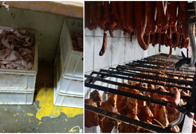 ЗАПЛЕЊЕНО ПРЕКО 8 ТОНА СУМЊИВОГ МЕСА У нерегистрованом погону код Сомбора правили прерађевине шкодљиве по здравље УХАПШЕНО ОДГОВОРНО ЛИЦЕ