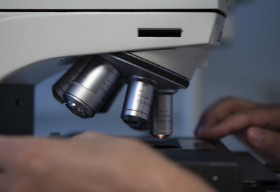 ТРОСТРУКА ТЕРАПИЈА УКЛОНИЛА ТУМОР ПАНКРЕАСА КОД МИШЕВА БЕЗ ТЕЖИХ НУСПОЈАВА Велики успех научника у лечењу најагресивнијег рака