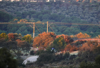 ПРУГА У ШПАНИЈИ РЕНОВИРАНА ПРЕ ОСАМ МЕСЕЦИ, ВОЗ СТАР ЧЕТИРИ ГОДИНЕ Шпански министар шокирао изјавом о трагедији: "Ово је веома, веома чудна несрећа"