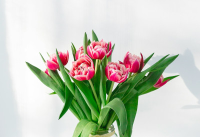 У ВАЗУ СА СВЕЖИМ ЦВЕЋЕМ СТАВИТЕ НОВЧИЋЕ Нема везе са доношењем среће, али једну ствар ћете успети