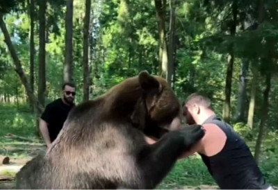 (ВИДЕО) РУСКИ БОКСЕРСКИ СУПЕРСТАР СЕ РВАО С МЕДВЕДОМ Махмудов се припрема за меч против Фјурија