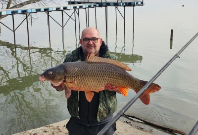 РАПОРТ С ВОДЕ Шаран дошао на лепо време и гумени кукуруз