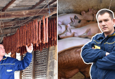 ЗАВРШИО МЕДИЦИНСКУ ШКОЛУ С ПЕТИЦАМА, ПА СЕ ОКРЕНУО ПОЉОПРИВРЕДИ Млади Митар Бабић из Ковиља чува чак 200 свиња, 20 крмача, 25 оваца, а ово је његова порука