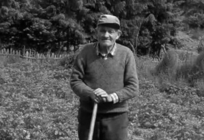 TРАГИЧАН КРАЈ ПОТРАГЕ НА ЈАВОРУ: Код пчелињака пронађено тело несталог Тихомира Поповића