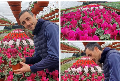 У ЦВЕТНОМ ЦЕНТРУ ГАЗДИНСТВА ДУШКА ЈАНИЋА У МОКРИНУ Најбоље процвета кад ради цела породица