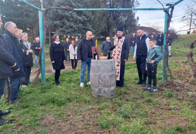 У СРЕМСКИМ КАРЛОВЦИМА ПРОСЛАВЉЕН СВЕТИ ТРИФУН Молитвени чин у винограду, дегустације у винаријама