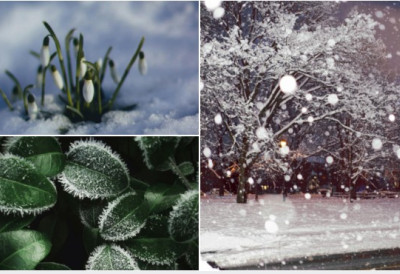 До краја фебруара и преко 20 степени! СРБИЈА НА ПРАГУ ДРАСТИЧНЕ ПРОМЕНЕ ВРЕМЕНА Пролећне температуре неће потрајати, ПОЛАРНИ ВРТЛОГ СЕ ЦЕПА баш за Дан жена!