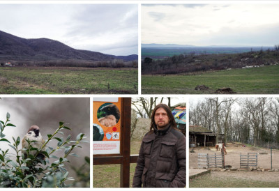 „ВРШАЧКЕ ПЛАНИНЕ” ПРЕЛЕПИ СЕВЕРЕ ПАНОНСКЕ НИЗИЈЕ Острво биодиверзитета на тромеђи светова