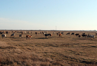 ”НОВАЦ ТРЕБА ДА СЕ УЛОЖИ У ПОЉОПРИВРЕДНУ ПРОИЗВОДЊУ” За пет јуница добио по 100.000 динара АГРАРЦИМА УРУЧЕНИ ПОДСТИЦАЈИ