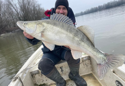 РАПОРТ С ВОДЕ: Капиталац загризао варалицу на Дунаву