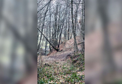 ПРЕЛЕПА СЛИКА ИЗ ИВАЊИЧКОГ КРАЈА Ловци током потраге за дивљом свињом снимили игру срна у шуми (ВИДЕО)