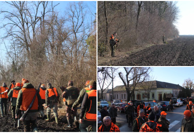 (ФОТО) ТРАГОВИ ВИЂЕНИ, ПРЕДАТОРИ СЕ ИЗВУКЛИ Лепо ловачко дружење на хајци у Ердевику