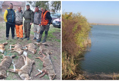 Одстрељено пет шакала и две лисице! ПРЕДАТОРИ НАДЈАЧАЛИ ДИВЉАЧ У СРЕМАЧКОМ СЕЛУ ДОБРОДОЛ Ловци морали да их проређују