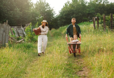 УСВОЈЕНА ВЕЛИКА ПОМОЋ ДРЖАВЕ! Могуће добити и до МИЛИОН И ПО ДИНАРА, ево ко све има право