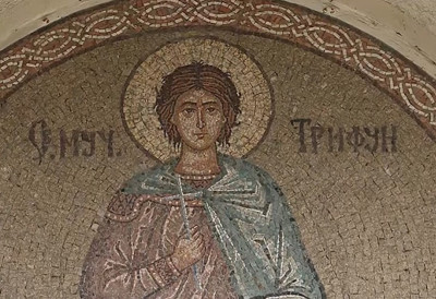 Трифундан је заветни дан! ОВО СУ ОБИЧАЈИ И ВЕРОВАЊА ЗА СВЕТОГ ТРИФУНА: Ево шта значи ако је сунчан дан, а шта киша и мраз