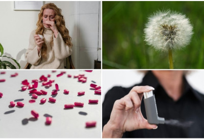 ОДЗВОНИЛО НЕСТАШИЦАМА АНТИХИСТАМИНИКА! Руски супералгоритам предвиђа сезонске алергије са стопом тачности од 92 одсто