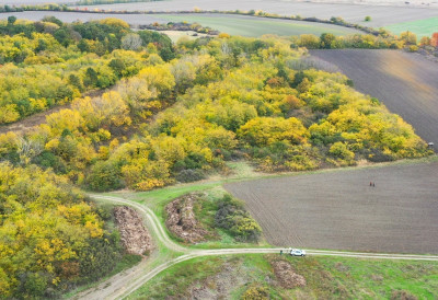 ОВО ЈЕ ПРВА ШУМА У СРБИЈИ У ВЛАСНИШТВУ ЉУБИТЕЉА ПТИЦА Славујев луг у Банату откупљен је донацијама грађана