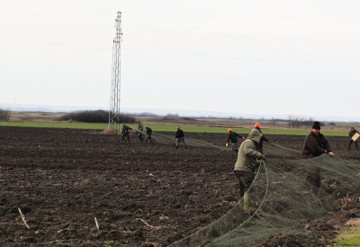 ПОСЛЕ 30 ГОДИНА У ВРШЦУ ЛОВ НА ЗЕЧЕВЕ МРЕЖОМ Дивљач хватана како би била премештена на друга ловишта