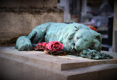 ОДАНОСТ ПСА ПРОМЕНИЛА ЗАКОН О САХРАЊИВАЊУ КУЋНИХ ЉУБИМАЦА Боб Ковеиро 10 година живео на гробу свог власника и тешио ожалошћене