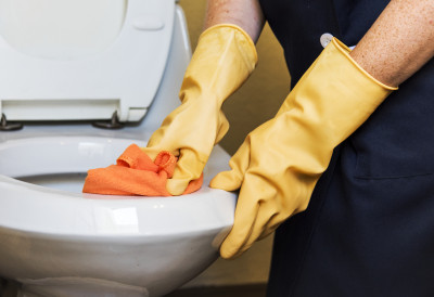 ОВАЈ ТРИК ЗА ЧИШЋЕЊЕ WC ШОЉЕ ЈЕ ХИТ НА МРЕЖАМА Боље га прескочите, може направити огромну штету