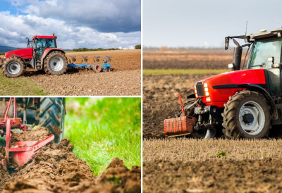 МИНИСТАРСТВО ПОЉОПРИВРЕДЕ ОДРЕДИЛО НАМЕНУ ПАШЊАКА У БАНАТУ: Ово су подаци последњег пописа пољопривреде