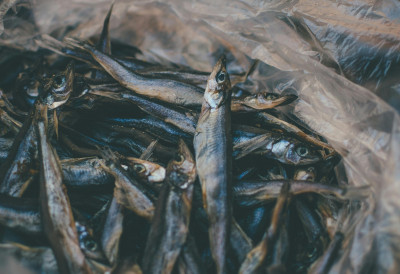 Обавезна је у тањиру вашег тинејџера! ОВО ЈЕ УБЕДЉИВО НАЈЗДРАВИЈА РИБА НА СВЕТУ Залогај ЧИСТОГ ЗДРАВЉА за мање од 500 динара! Ево шта све „поправља“ у организму