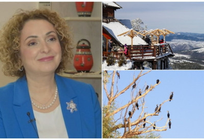 СРБИЈА "ГОРИ" ОД ТУРИСТА, ПЛАНИНЕ И БАЊЕ ПУНЕ ДО ПОСЛЕДЊЕГ МЕСТА ЗА СРЕТЕЊЕ Директорка ТОС Лабовић најавила планове за наредни период: Промовисаћемо нашу земљу у Канади