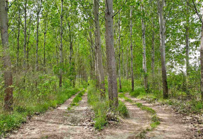 ЈАВНОСТИ ДОСТУПАН НАЦРТ На увиду важан документ који може утицати на будућност овог подручја
