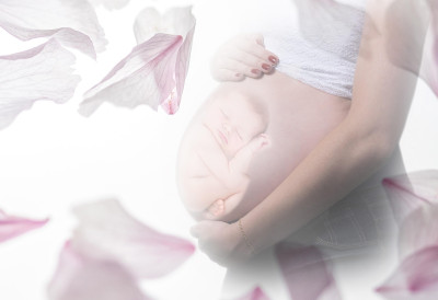 Лекари је саветовали да не изнесе трудноћу до краја У ПЕДЕСЕТОЈ ЖЕЛЕЛА ЈОШ ЈЕДНУ БЕБУ, А КУЋИ СТИГЛО ТРОЈЕ НОВОРОЂЕНЧАДИ