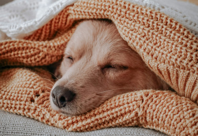 САМО НА ОВАЈ НАЧИН СЕ ПРАВИЛНО ПЕРЕ ЋЕБЕ Морате урадити и дезинфекцију, а то је најбоље са овим ПРИРОДНИМ чистачем