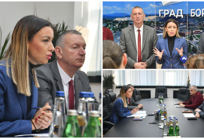 У ЕЛЕКТРОМРЕЖУ У БОРУ ДРЖАВА ОВЕ ГОДИНЕ УЛОЖИЛА 260 МИЛИОНА ДИНАРА Министарка Месаровић: Велики радови обезбедили су уредно снабдевање грађана електричном енергијом