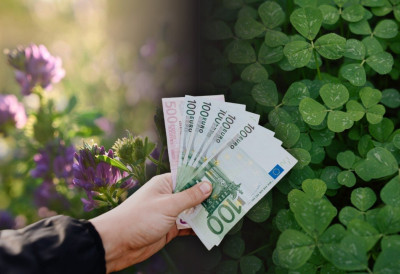 НОВЕ ОЛАКШИЦЕ ЗА ПОЉОПРИВРЕДНИКЕ Нема правдања подстицаја рачунима за луцерку, детелину и поједине културе ЕВО НА КОГА СЕ ТО ОДНОСИ