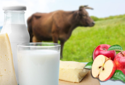 ГРАД КОЈИ ЈЕ НА ПУТУ ДА БУДЕ ЛИДЕР ПРОИЗВОДЊЕ ЗДРАВЕ ХРАНЕ У Суботици фарме говеда  и воћњаци постају органски