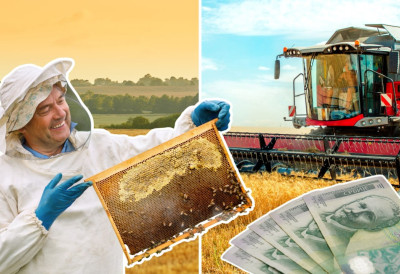 ПРЕДЛОГ СТРАТЕГИЈЕ ПОЉОПРИВРЕДЕ И РУРАЛНОГ РАЗВОЈА ДО 2034. ГОДИНЕ У новом документу више места за органску производњу и пчеларство