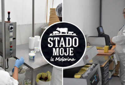 ДА ЛИ СТЕ ЗНАЛИ ДА ОВО ВОЈВОЂАНСКО СЕЛО ИМА НАЈВИШЕ КРАВА ПО СТАНОВНИКУ У СРБИЈИ? Млекара "Моје стадо" им откупи све млеко, а ево шта кажу сточари