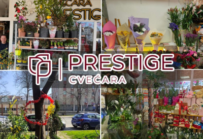 (ВИДЕО, ФОТО) У ЦВЕЋАРИ „ПРЕСТИЖ“ БОГАТА ПОНУДА ПОВОДОМ 8. МАРТА Идеални мирисни, шарени и с љубављу спаковани поклони за даме