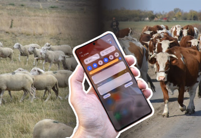 ДРЖАВА КРЕНУЛА У ОЗБИЉАН ОБРАЧУН СА УЗУРПАТОРИМА! Спот и апликација за одбрану српских пашњака