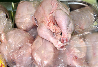 ЗАБРАЊЕН ИЗВОЗ  ПИЛЕТИНЕ ИЗ БИХ У ЕУ Хиљаду и по тона није прешло границу, штета огромна ЕВО ШТА ЈЕ УЗРОК