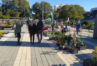 ПОЧИЊЕ ОМИЉЕНА ЕКОЛОШКА АКЦИЈА У НОВОМ САДУ Стари папир за нови живот