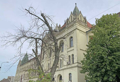 ЗРЕЊАНИНСКА ФИРМА „ЕМЕРАЛД” У СТЕЧАЈУ Петнаест година у блокади; Ево када је прво рочиште