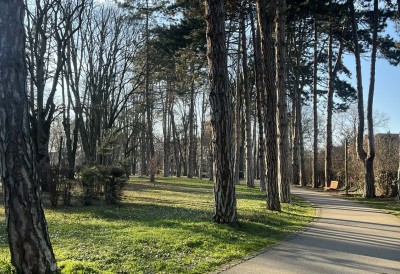 ДВА ПАРКА У ЧАЧКУ НОСИЋЕ ИМЕНА ПО МАЛОЈ МИЛИЦИ РАКИЋ И ГЛУМИЦИ СОЊИ САВИЋ Ево и где се тачно налазе