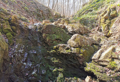 (ФОТО) ЧУДОТВОРНИ ИЗВОР ПОДНО ПЛАНИНЕ ЈЕЛИЦЕ КРИЈЕ ЧУДЕСНУ ПРИЧУ Многи су пронашли здравље и веру крај моштију светог Јовна Стјеничког