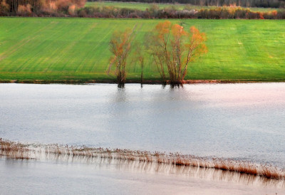 САВА ПРИЛАЗИ КРИТИЧНОЈ ТАЧКИ Најугроженији због обилних падавина и топљења снега ЈЕ ОВАЈ ГРАД