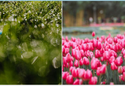 Стиже и азорски антициклон! МЕТЕОРОЛОГ РИСТИЋ ОТКРИО ВРЕМЕНСКУ ПРОГНОЗУ ЗА МАРТ: Почетком месеце и преко 20 степшени, а ево када је могуће  захлађење