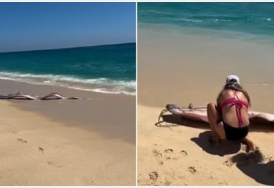 (ВИДЕО) Појавиле се РИБЕ СУДЊЕГ ДАНА Паника у ЛУКСУЗНОМ летовалишту: Ретко се појављују на површини, предсказују ВЕЛИКЕ НЕСРЕЋЕ