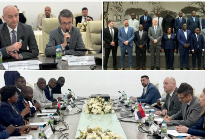 Секретар Иванишевић у радној посети Анголи