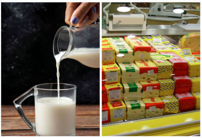 МЛЕКАРЕ ПОДИЖУ ЦЕНУ ОТКУПА Гламочић: Постигнут конкретан договор, РЕШИЛИ СМО ВИШКОВЕ