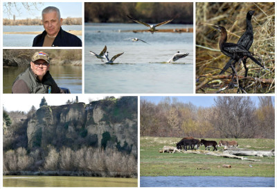 „ДНЕВНИК” На путовању кроз дивљину између древних шума и дунавских таласа „АДЕ И ОДСЕЦИ КОД СТАРОГ СЛАНКАМЕНА” (ФОТО)