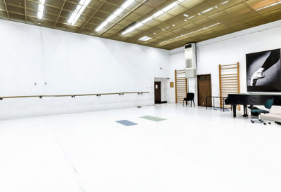 ОГРОМНО ИНТЕРЕСОВАЊЕ ЗА АУДИЦИЈУ БАЛЕТА СРПСКОГ НАРОДНОГ ПОЗОРИШТА Већ хиљаду пријава  из целог света